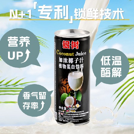 240ml银树加浓椰子汁海南风味0乳糖网红饮料植物蛋白椰汁饮料加盟
